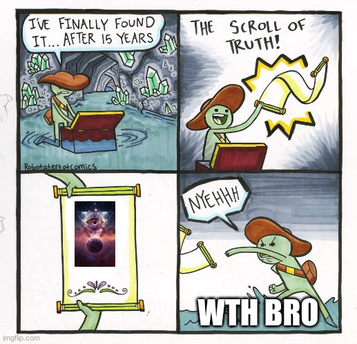 nooooo | WTH BRO | image tagged in memes,the scroll of truth | made w/ Imgflip meme maker