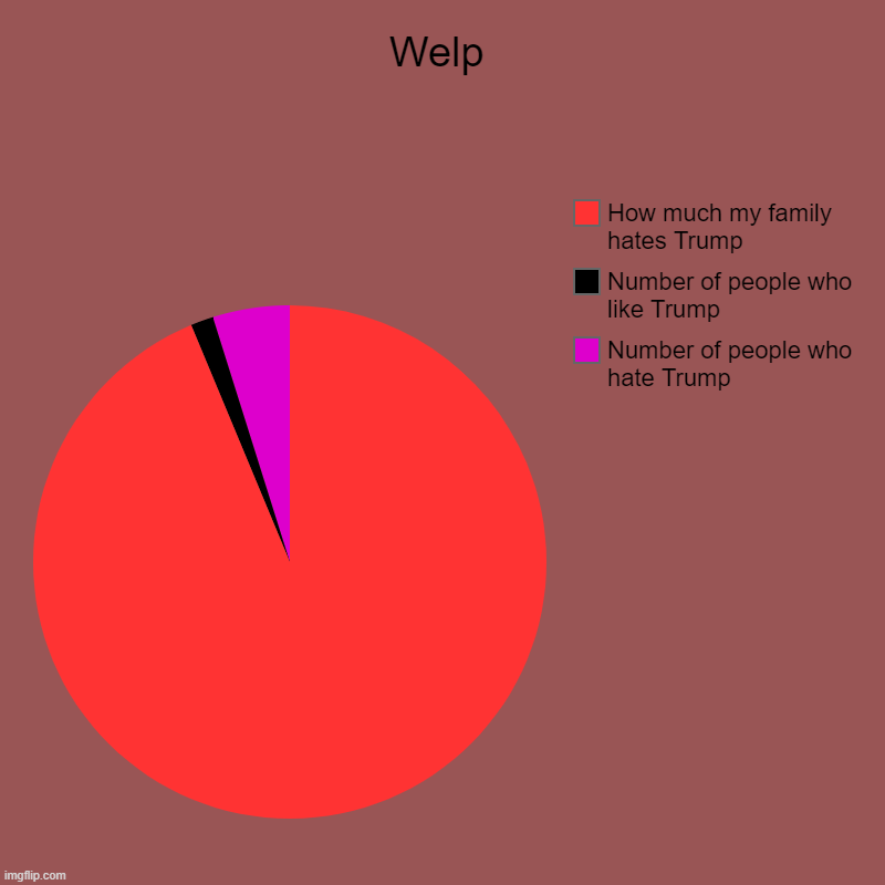 Welp | Number of people who hate Trump, Number of people who like Trump, How much my family hates Trump | image tagged in charts,pie charts | made w/ Imgflip chart maker