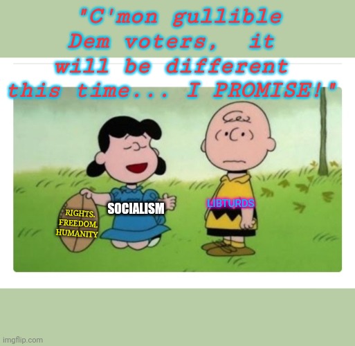 DON'T BELIEVE THE LIBERAL MEDIA | "C'mon gullible Dem voters,  it will be different this time... I PROMISE!"; RIGHTS. FREEDOM. HUMANITY; LIBTURDS; SOCIALISM | image tagged in vote trump,election 2020,libtards,suck | made w/ Imgflip meme maker