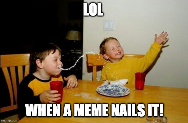 Yo Mamas So Fat Meme | LOL WHEN A MEME NAILS IT! | image tagged in memes,yo mamas so fat | made w/ Imgflip meme maker