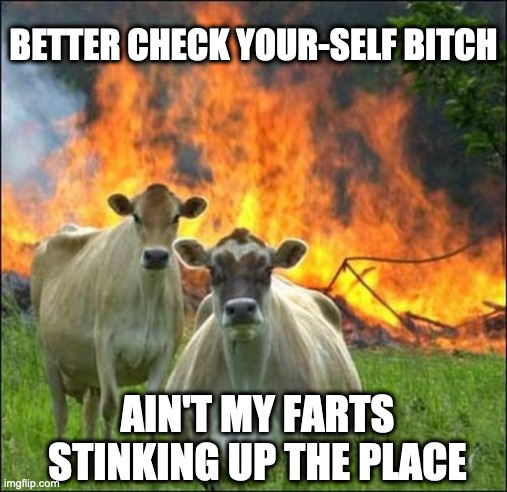 Evil Cows Meme | BETTER CHECK YOUR-SELF BITCH AIN'T MY FARTS STINKING UP THE PLACE | image tagged in memes,evil cows | made w/ Imgflip meme maker