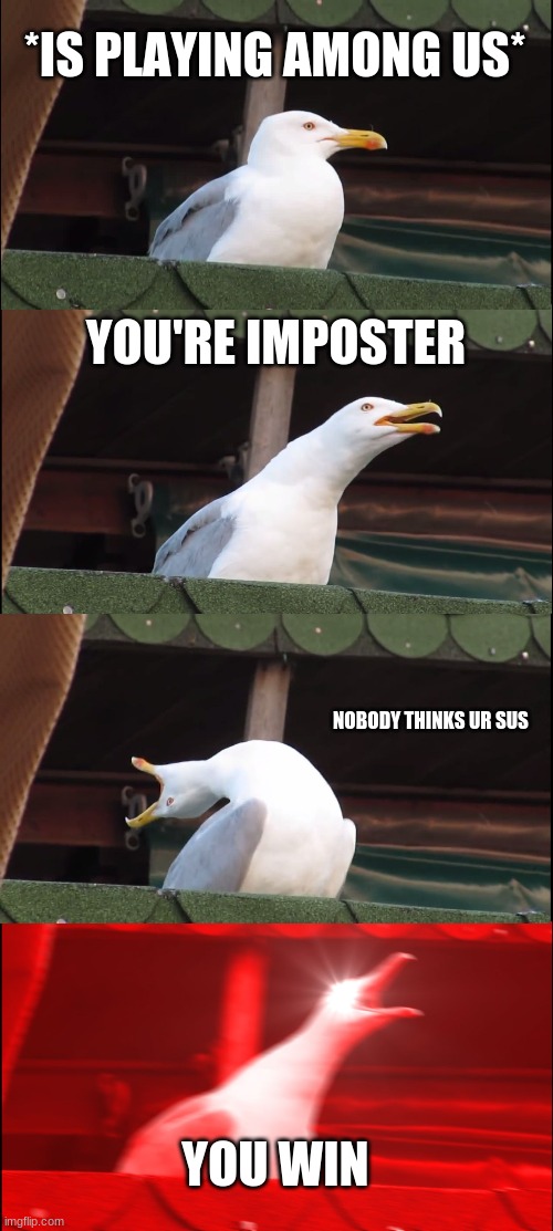 Red = not sus | *IS PLAYING AMONG US*; YOU'RE IMPOSTER; NOBODY THINKS UR SUS; YOU WIN | image tagged in memes,inhaling seagull,among us,confused | made w/ Imgflip meme maker