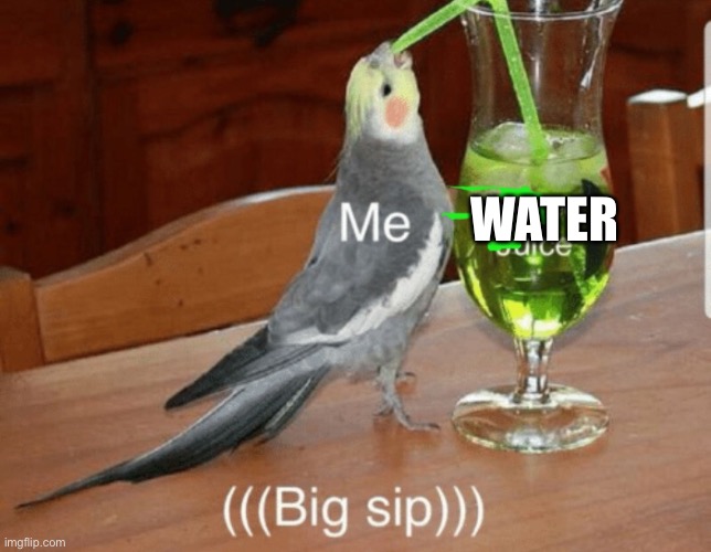 Unsee juice | WATER | image tagged in unsee juice | made w/ Imgflip meme maker