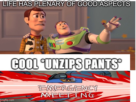 Life’s aspects | LIFE HAS PLENARY OF GOOD ASPECTS; COOL *UNZIPS PANTS* | image tagged in woody | made w/ Imgflip meme maker