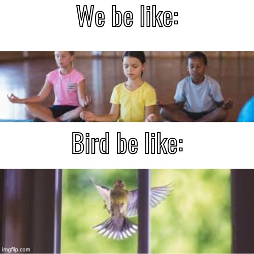 We be like: Meditation | image tagged in meme | made w/ Imgflip meme maker