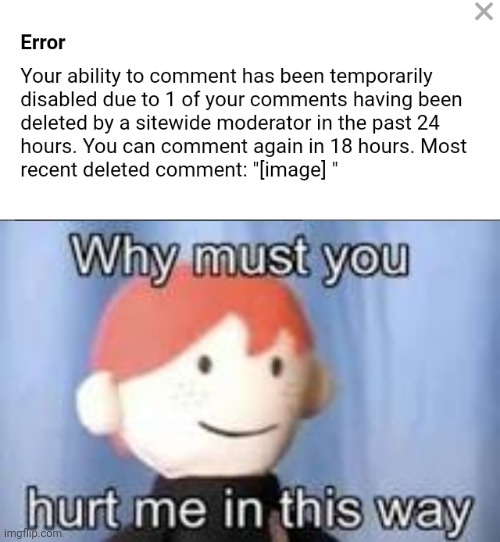Oh my god, not again | image tagged in why must you hurt me in this way,why,imgflip mods | made w/ Imgflip meme maker