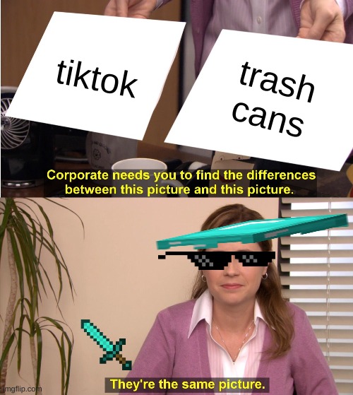 dayum | tiktok; trash cans | image tagged in memes,they're the same picture | made w/ Imgflip meme maker