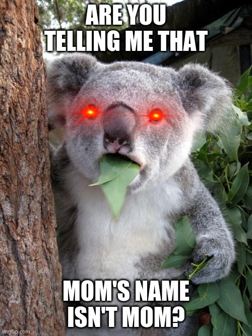 Surprised Koala |  ARE YOU TELLING ME THAT; MOM'S NAME ISN'T MOM? | image tagged in memes,surprised koala | made w/ Imgflip meme maker