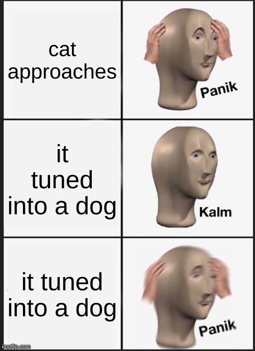 Panik Kalm Panik Meme | cat approaches it tuned into a dog it tuned into a dog | image tagged in memes,panik kalm panik | made w/ Imgflip meme maker