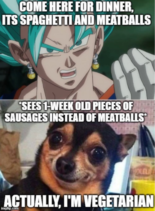 vegan dogge | image tagged in funny dog memes,anime,vegans,spaghetti,meat,dragon ball z | made w/ Imgflip meme maker