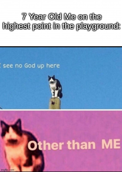 Do you remember the memories? | 7 Year Old Me on the highest point in the playground: | image tagged in i see no god up here other than me | made w/ Imgflip meme maker