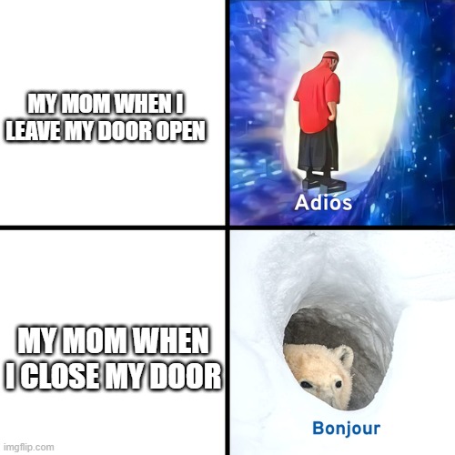 When i close my door my mom just walks into my room. but when i  leave it open she leaves | MY MOM WHEN I LEAVE MY DOOR OPEN; MY MOM WHEN I CLOSE MY DOOR | image tagged in adios bonjour | made w/ Imgflip meme maker