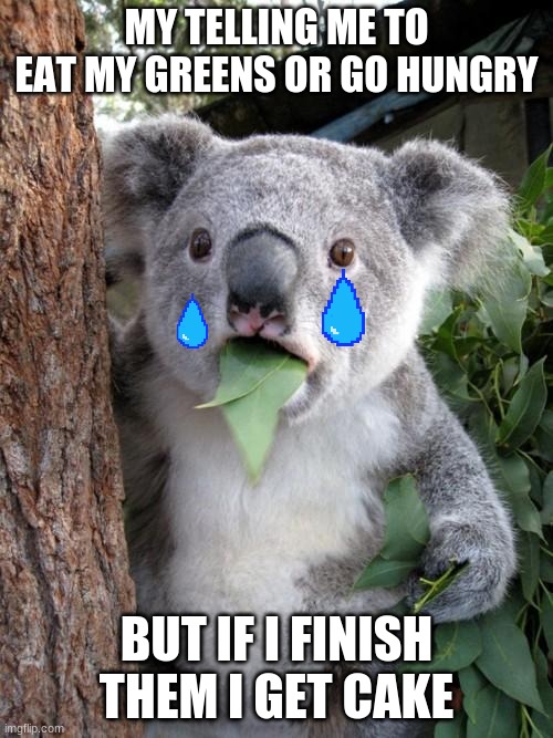 i hate mom | MY TELLING ME TO EAT MY GREENS OR GO HUNGRY; BUT IF I FINISH THEM I GET CAKE | image tagged in memes,surprised koala,funny memes | made w/ Imgflip meme maker