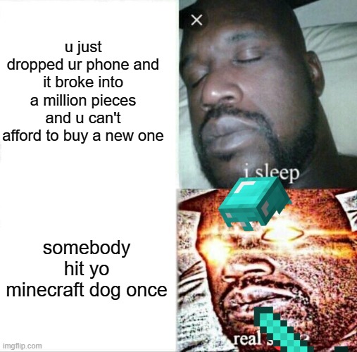 they hit yo dog | u just dropped ur phone and it broke into a million pieces and u can't afford to buy a new one; somebody hit yo minecraft dog once | image tagged in memes,sleeping shaq,minecraft | made w/ Imgflip meme maker