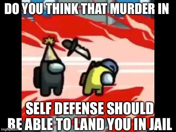 DO YOU THINK THAT MURDER IN; SELF DEFENSE SHOULD BE ABLE TO LAND YOU IN JAIL | made w/ Imgflip meme maker