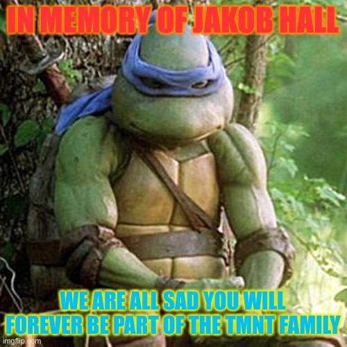 In memory of Jakob Hall | IN MEMORY OF JAKOB HALL; WE ARE ALL SAD YOU WILL FOREVER BE PART OF THE TMNT FAMILY | image tagged in sad ninja turtle | made w/ Imgflip meme maker