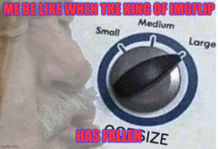 It sys it for itself | ME BE LIKE WHEN THE KING OF IMGFLIP; HAS FALLEN | image tagged in oof size large | made w/ Imgflip meme maker