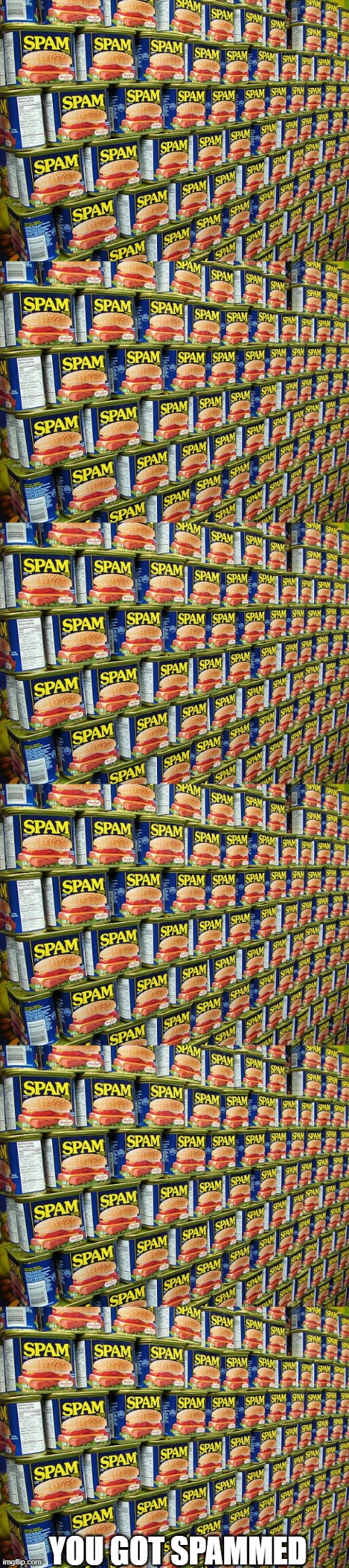 You got spammed | YOU GOT SPAMMED | image tagged in spam delicous | made w/ Imgflip meme maker