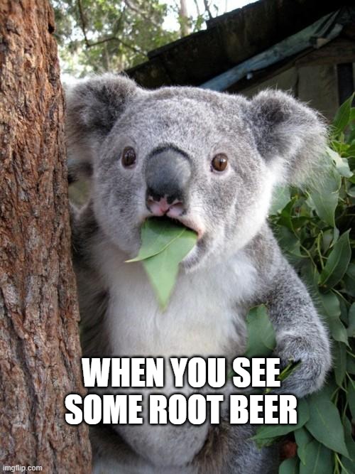 Surprised Koala | WHEN YOU SEE SOME ROOT BEER | image tagged in memes,surprised koala | made w/ Imgflip meme maker