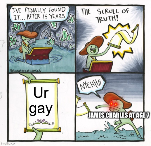 The Scroll Of Truth Meme | Ur gay; JAMES CHARLES AT AGE 7 | image tagged in memes,the scroll of truth | made w/ Imgflip meme maker
