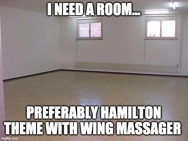 Empty Room | I NEED A ROOM... PREFERABLY HAMILTON THEME WITH WING MASSAGER | image tagged in empty room | made w/ Imgflip meme maker