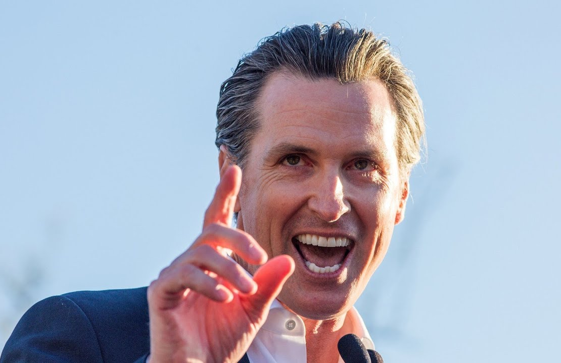 Insane Idiot Gavin Newsom Blank Meme Template