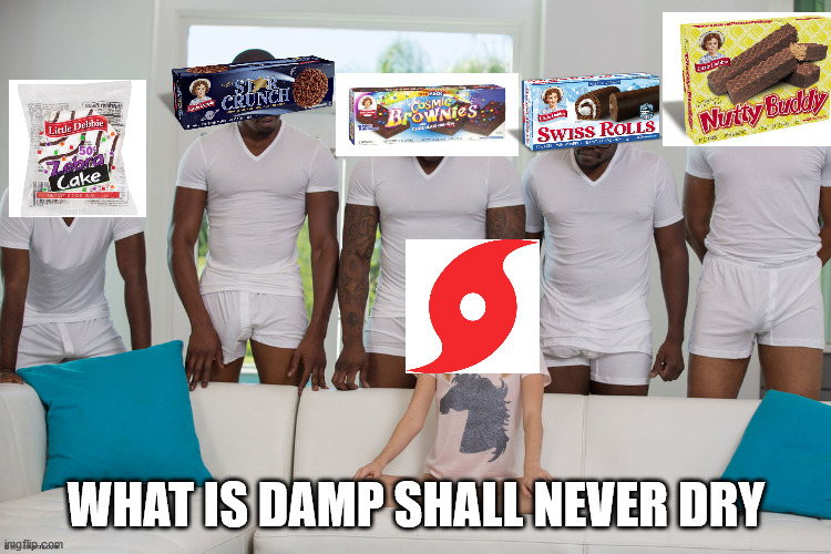 piper perri surrounded 1 | WHAT IS DAMP SHALL NEVER DRY | image tagged in piper perri surrounded 1 | made w/ Imgflip meme maker