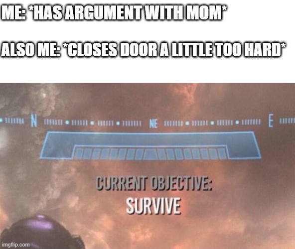 Why is everything so loud after having a argument | ME: *HAS ARGUMENT WITH MOM*; ALSO ME: *CLOSES DOOR A LITTLE TOO HARD* | image tagged in current objective survive | made w/ Imgflip meme maker