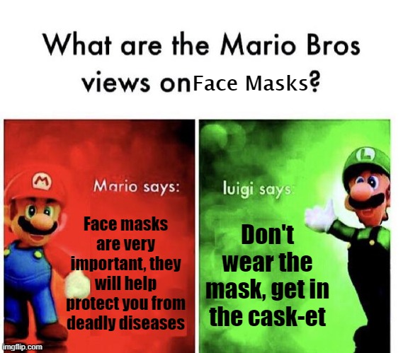 wear your damn masks! | Face Masks; Face masks are very important, they will help protect you from deadly diseases; Don't wear the mask, get in the cask-et | image tagged in mario bros views | made w/ Imgflip meme maker