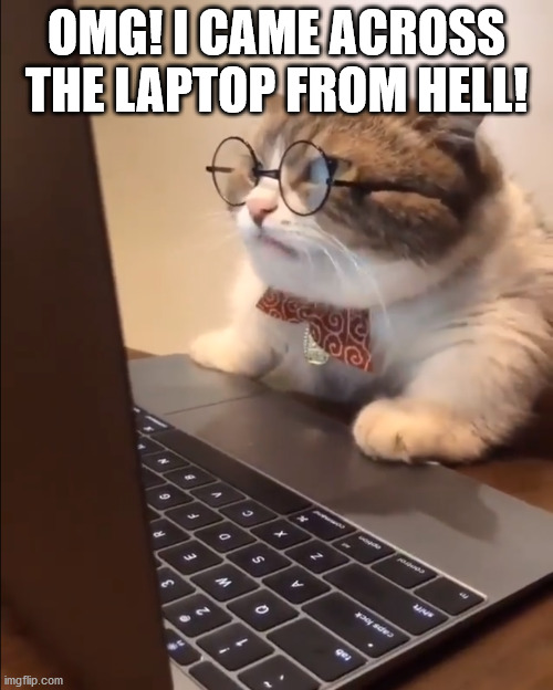 research cat | OMG! I CAME ACROSS THE LAPTOP FROM HELL! | image tagged in research cat | made w/ Imgflip meme maker