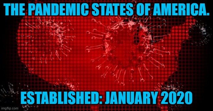 Brought To You By Failed Leadereship! | THE PANDEMIC STATES OF AMERICA. ESTABLISHED: JANUARY 2020 | image tagged in politics | made w/ Imgflip meme maker