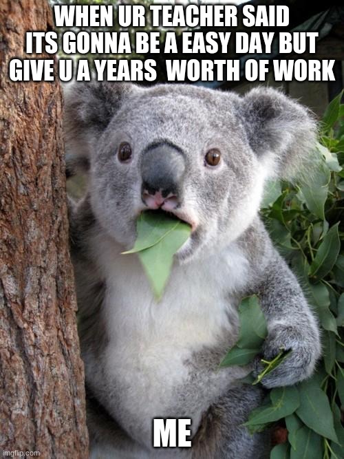 Surprised Koala | WHEN UR TEACHER SAID ITS GONNA BE A EASY DAY BUT GIVE U A YEARS  WORTH OF WORK; ME | image tagged in memes,surprised koala | made w/ Imgflip meme maker