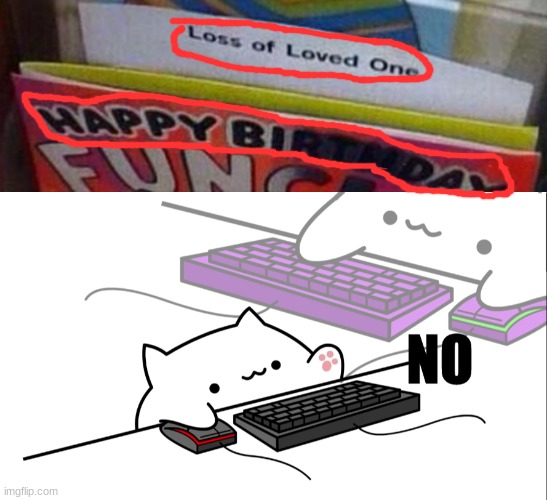 NO | image tagged in bongo cat no,you had one job | made w/ Imgflip meme maker