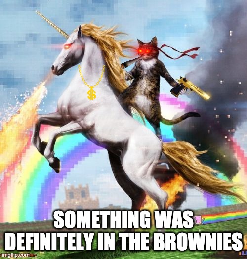 Welcome To The Internets Meme | SOMETHING WAS DEFINITELY IN THE BROWNIES | image tagged in memes,welcome to the internets | made w/ Imgflip meme maker