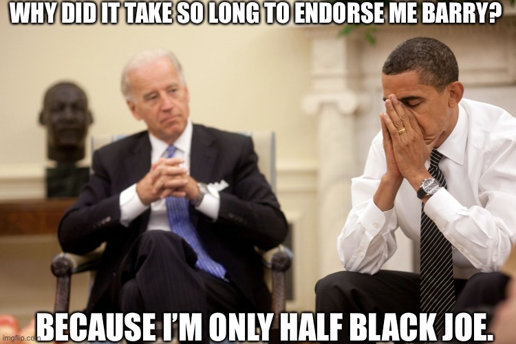 Obama Biden Hands | WHY DID IT TAKE SO LONG TO ENDORSE ME BARRY? BECAUSE I’M ONLY HALF BLACK JOE. | image tagged in obama biden hands | made w/ Imgflip meme maker