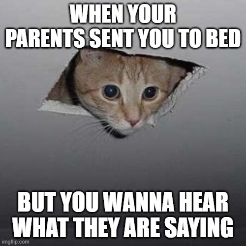 When your parents | WHEN YOUR PARENTS SENT YOU TO BED; BUT YOU WANNA HEAR WHAT THEY ARE SAYING | image tagged in memes,ceiling cat | made w/ Imgflip meme maker