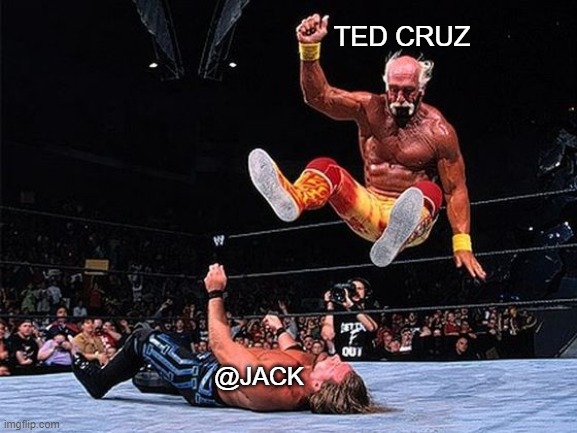 Ted FTW | TED CRUZ; @JACK | image tagged in politics,twitter,republicans,social media | made w/ Imgflip meme maker