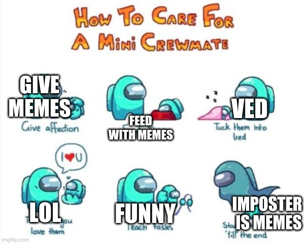 GIVE MEMES; VED; FEED WITH MEMES; LOL; FUNNY; IMPOSTER  IS MEMES | image tagged in how to care for a mini crewmate | made w/ Imgflip meme maker