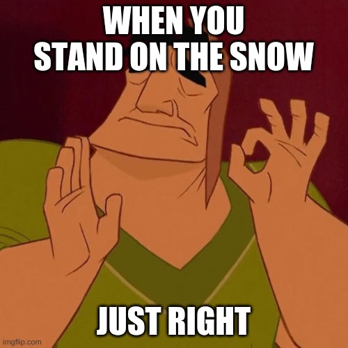 When X just right | WHEN YOU STAND ON THE SNOW JUST RIGHT | image tagged in when x just right | made w/ Imgflip meme maker