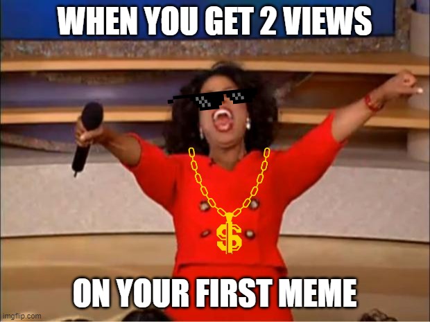 Oprah You Get A Meme | WHEN YOU GET 2 VIEWS; ON YOUR FIRST MEME | image tagged in memes,oprah you get a | made w/ Imgflip meme maker
