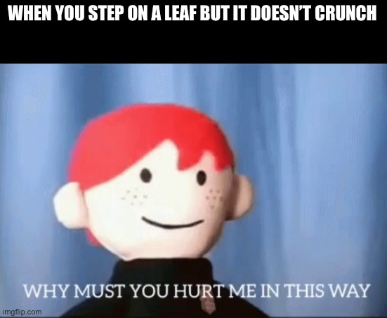 why must you hurt me in this way | WHEN YOU STEP ON A LEAF BUT IT DOESN’T CRUNCH | image tagged in why must you hurt me in this way | made w/ Imgflip meme maker