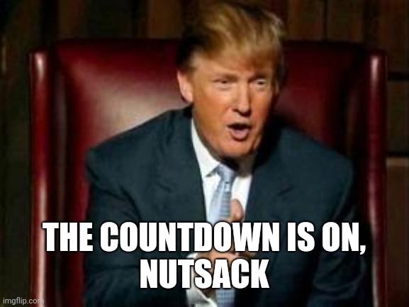 Bye bye Felicia | THE COUNTDOWN IS ON,
NUTSACK | image tagged in donald trump,donald trump you're fired | made w/ Imgflip meme maker