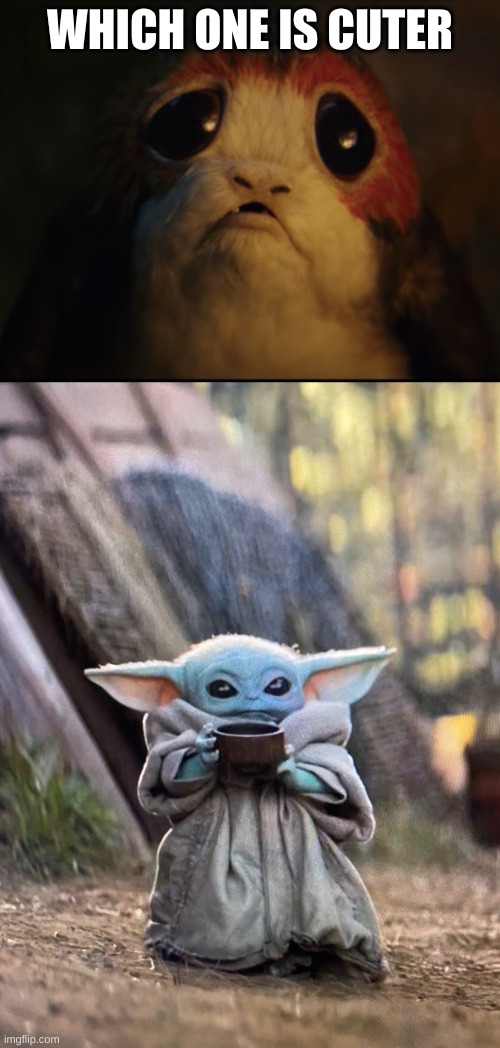 WHICH ONE IS CUTER | image tagged in porg with big sad eyes,baby yoda tea | made w/ Imgflip meme maker