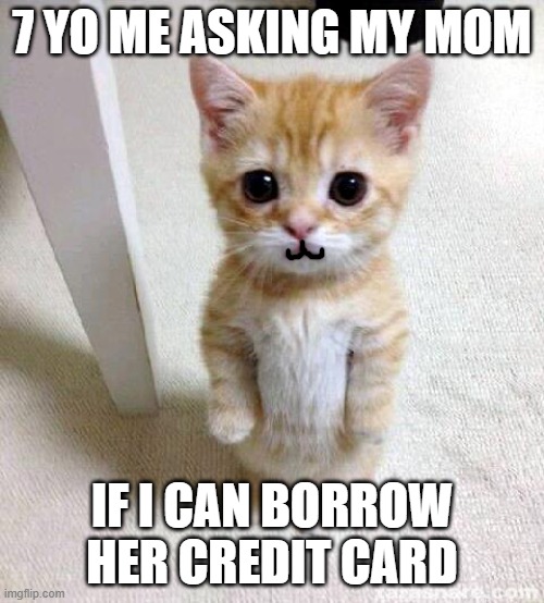 Cute Cat Meme | 7 YO ME ASKING MY MOM; IF I CAN BORROW HER CREDIT CARD | image tagged in memes,cute cat | made w/ Imgflip meme maker