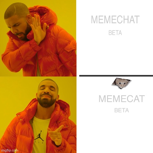 MEMECAT:Beta | image tagged in memes,drake hotline bling,cats,funny | made w/ Imgflip meme maker