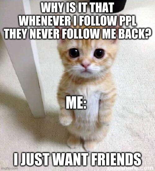 Cute Cat | WHY IS IT THAT WHENEVER I FOLLOW PPL THEY NEVER FOLLOW ME BACK? ME:; I JUST WANT FRIENDS | image tagged in memes,cute cat | made w/ Imgflip meme maker