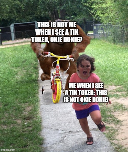 Orangutan chasing girl on a tricycle | THIS IS NOT ME WHEN I SEE A TIK TOKER, OKIE DOKIE? ME WHEN I SEE A TIK TOKER: THIS IS NOT OKIE DOKIE! | image tagged in orangutan chasing girl on a tricycle | made w/ Imgflip meme maker