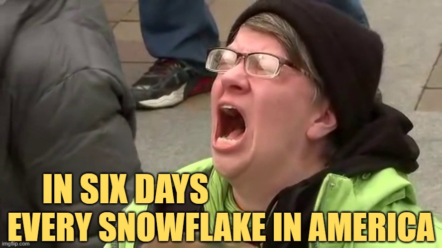 Screaming Libtard  | IN SIX DAYS EVERY SNOWFLAKE IN AMERICA | image tagged in screaming libtard | made w/ Imgflip meme maker