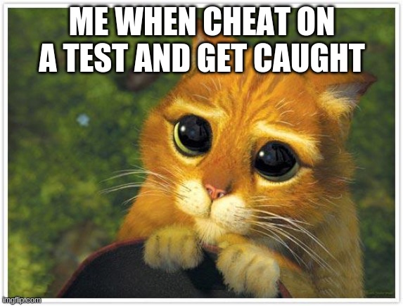 Shrek Cat | ME WHEN CHEAT ON A TEST AND GET CAUGHT | image tagged in memes,shrek cat | made w/ Imgflip meme maker