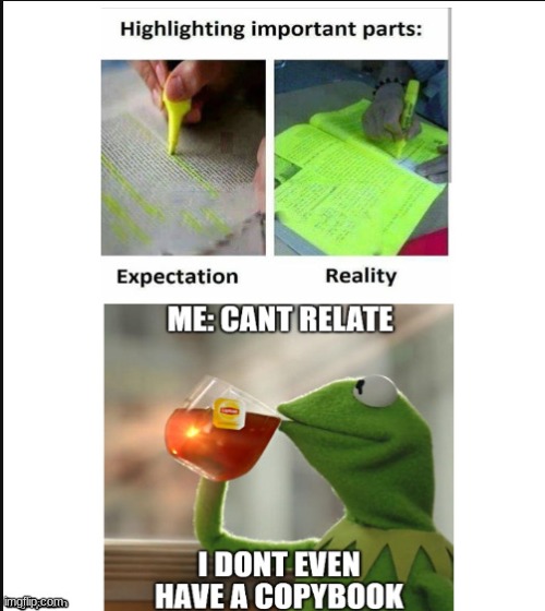 I CAN relate | image tagged in books,kermit the frog | made w/ Imgflip meme maker